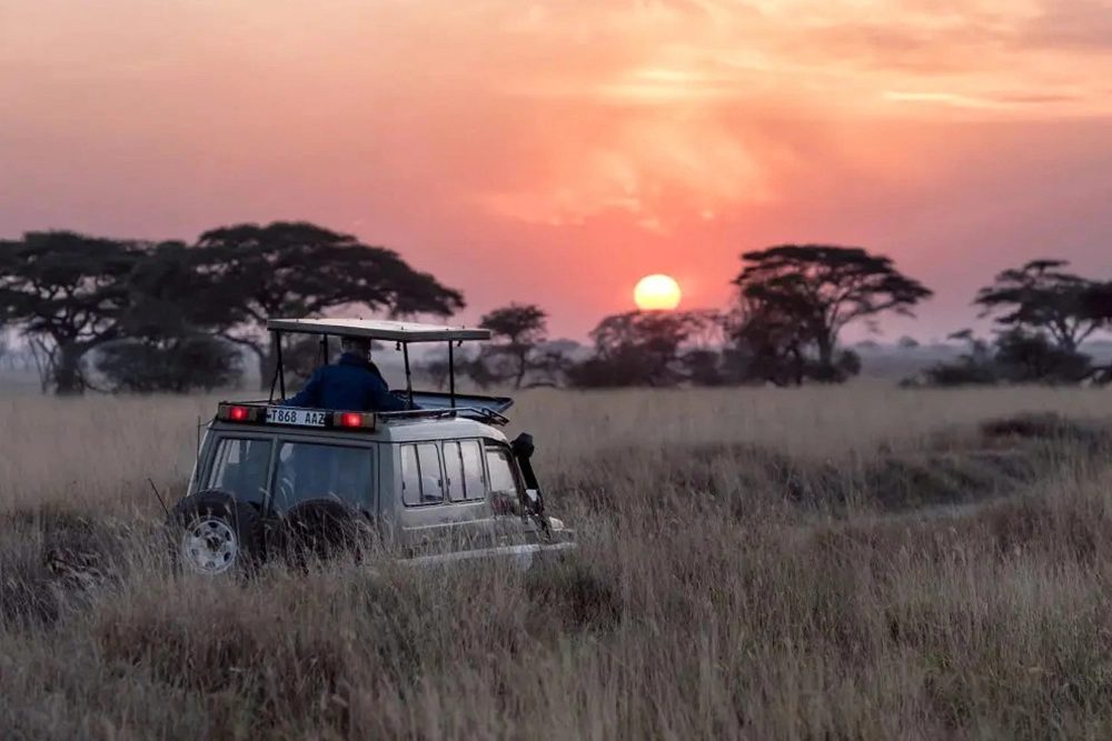 Game Drives