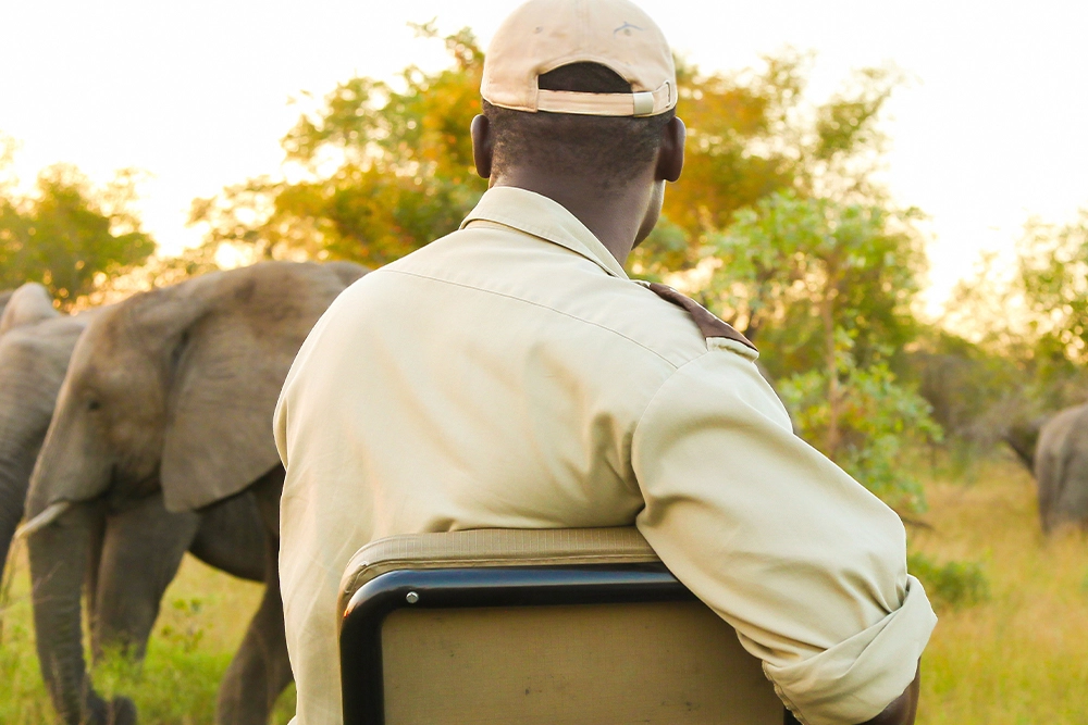 Private game reserves