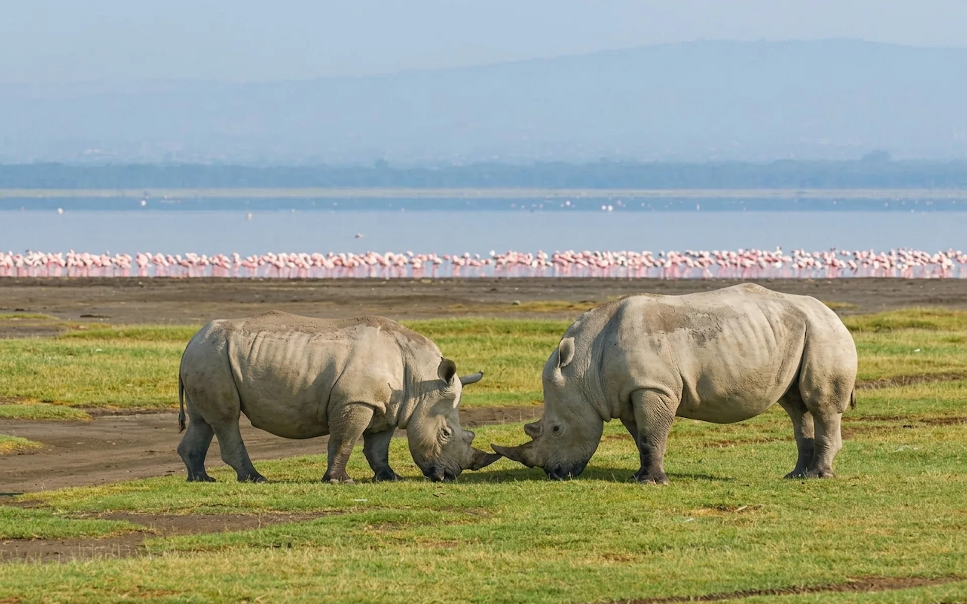 10-Day Memories of Kenya & Tanzania Mid-Range Safari