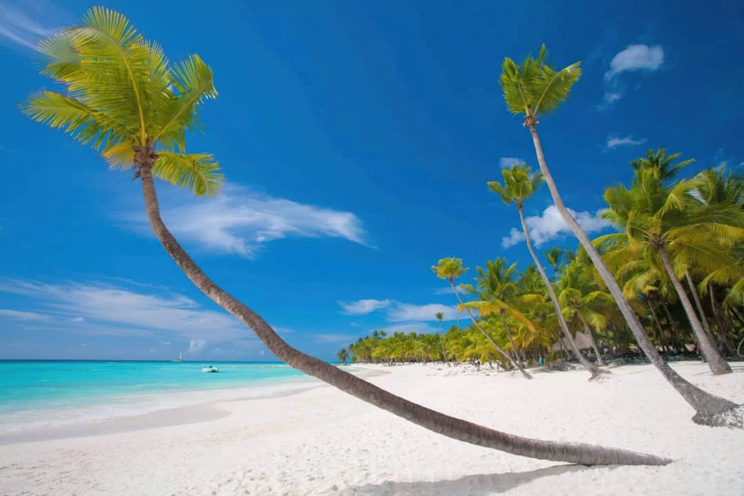 10 Day Wild Savannahs & Zanzibar Shores Escape