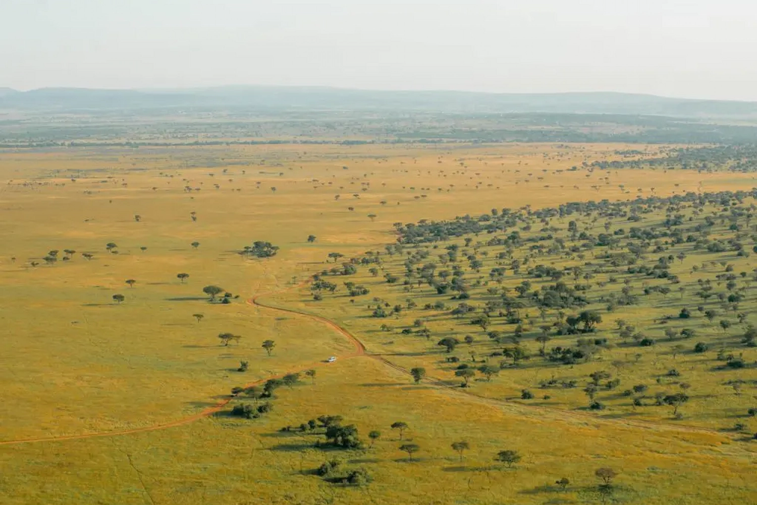 6-Day Exclusive Tanzanian Safari & Waterfall Experience