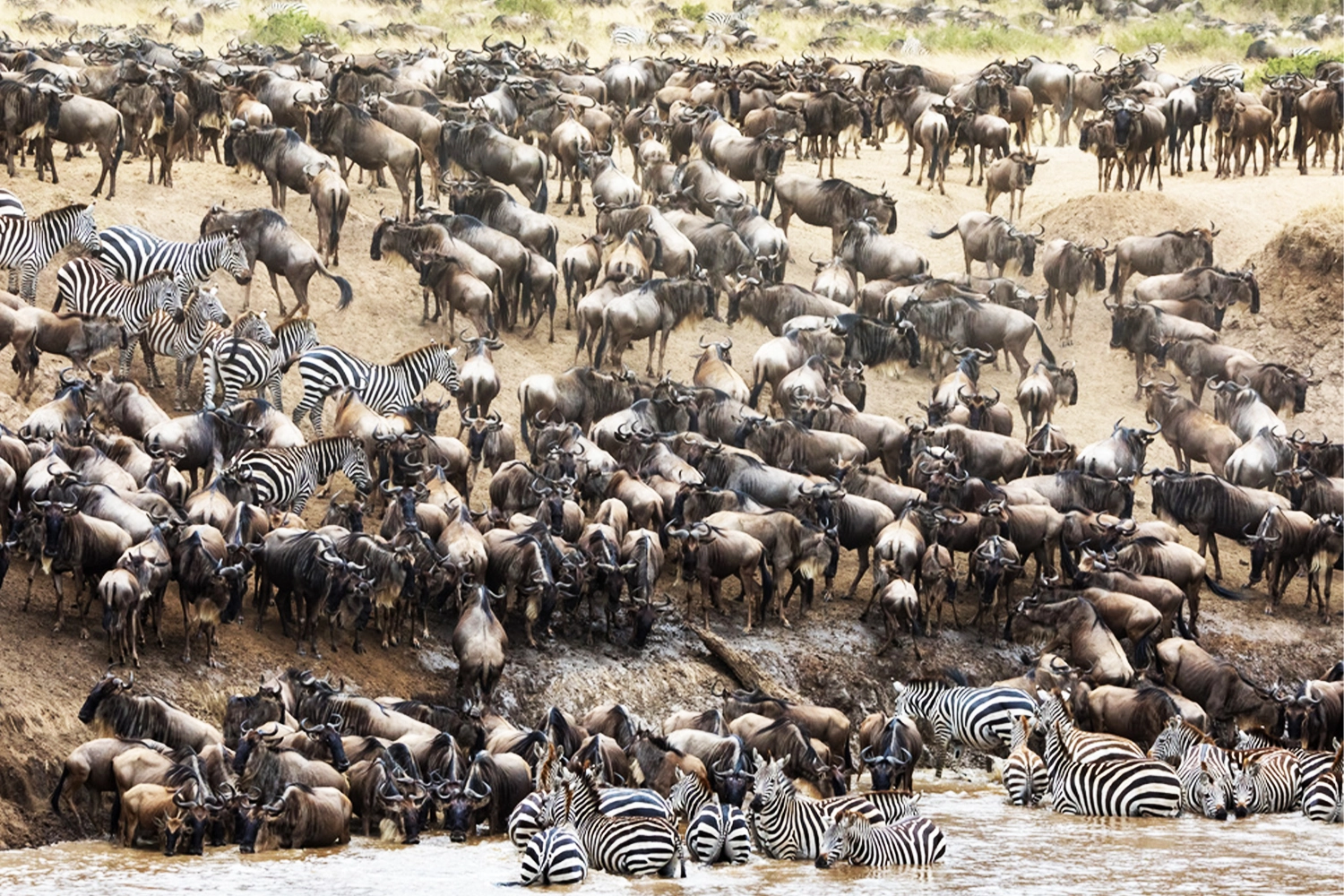 6-Day Private Midrange Safari – Serengeti & Ngorongoro