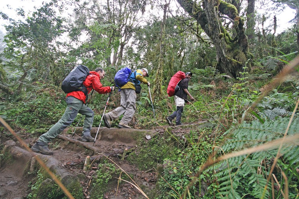 7 Day Kilimanjaro – Climbing Kilimanjaro Machame route