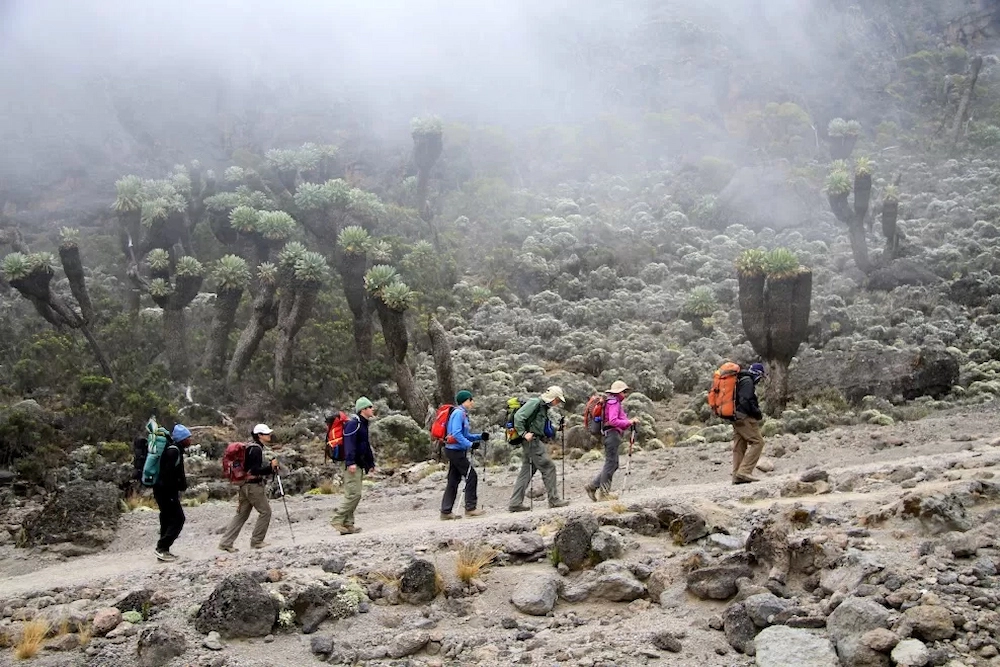7 Day Kilimanjaro – Climbing Kilimanjaro Rongai route